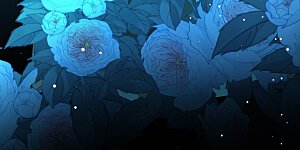 第2季第144话 水土不服1