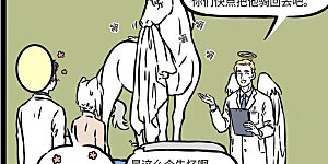 第550话 车祸失忆一条龙