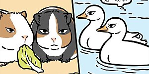 第791话 摸一摸小动物，心情愉快一整天