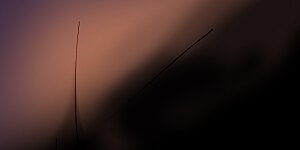 第2季298话 虫王2