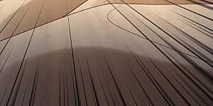 第317话2 霸气的大害虫（2）