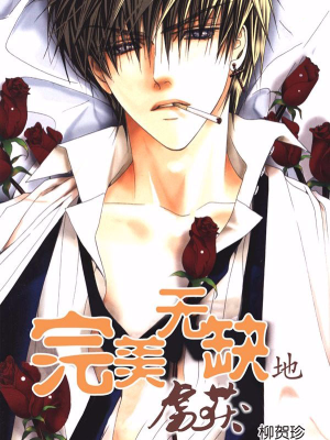 完美无缺的虏获,完美无缺的虏获漫画