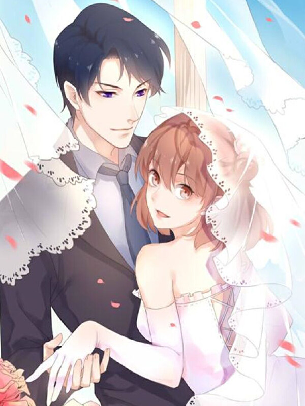 少爷的新娘,少爷的新娘漫画