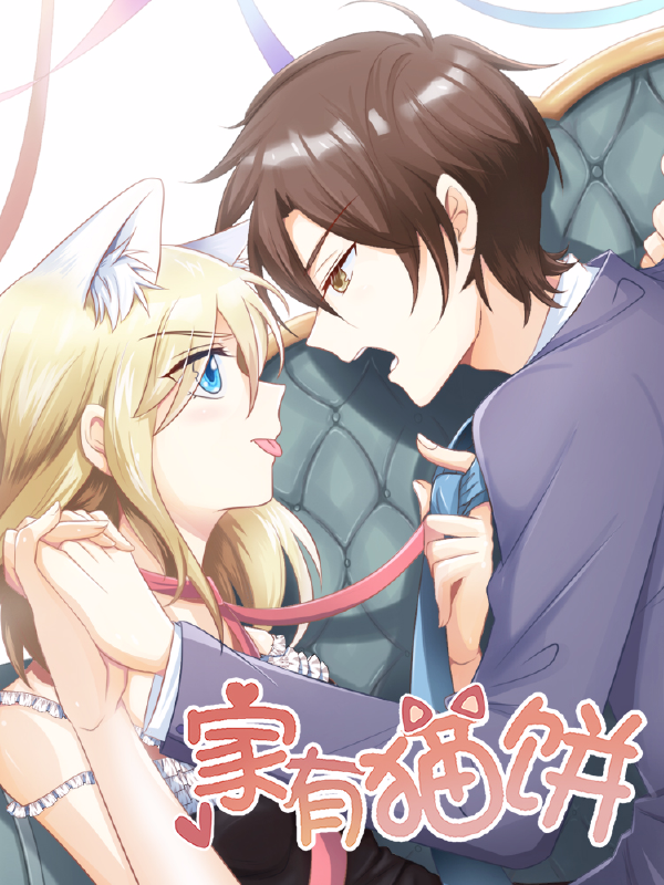 家有猫饼,家有猫饼漫画