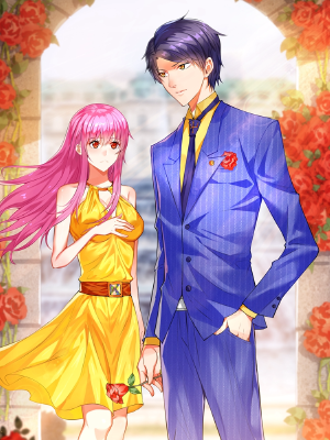 总裁的追妻实录,总裁的追妻实录漫画