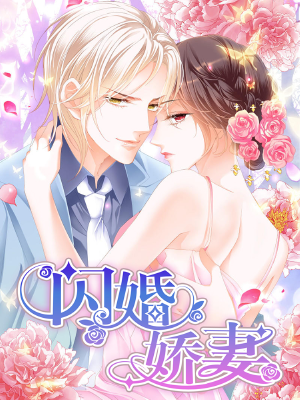 闪婚娇妻,闪婚娇妻漫画