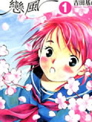 恋风,恋风漫画